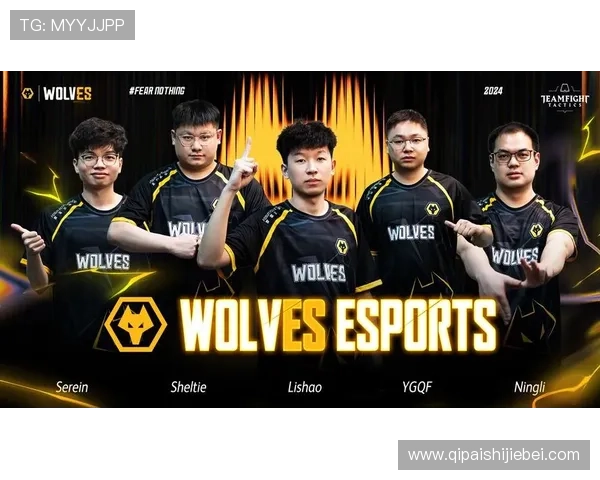 ewc电竞世界杯几年一次详细介绍及赛事安排解析